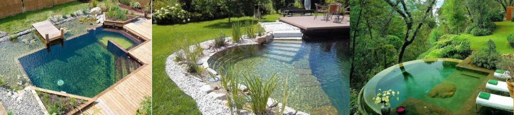 Fabricant Constructeur Piscine naturelle au sel