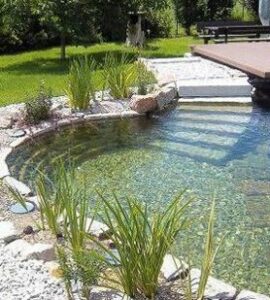 Fabricant Constructeur Piscine naturelle au sel